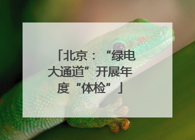 北京：“绿电大通道”开展年度“体检”