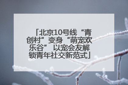 北京10号线“青创村”变身“萌宠欢乐谷” 以宠会友解锁青年社交新范式