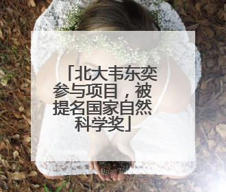 北大韦东奕参与项目，被提名国家自然科学奖