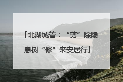 北湖城管：“剪”除隐患树“修”来安居行