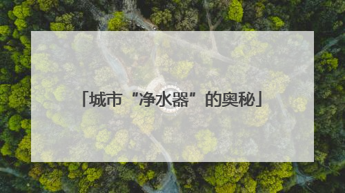 城市“净水器”的奥秘