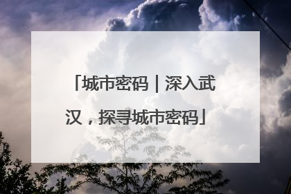 城市密码｜深入武汉，探寻城市密码