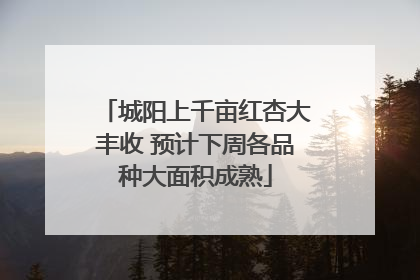城阳上千亩红杏大丰收 预计下周各品种大面积成熟