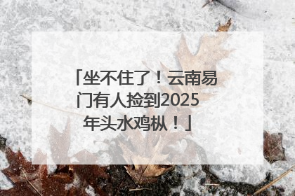 坐不住了！云南易门有人捡到2025年头水鸡枞！