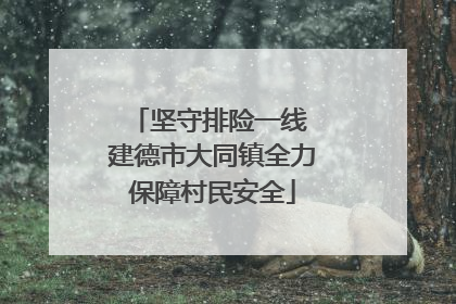 坚守排险一线 建德市大同镇全力保障村民安全