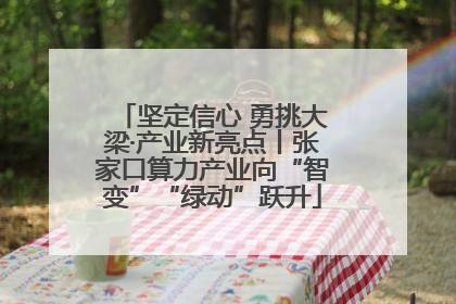 坚定信心 勇挑大梁·产业新亮点丨张家口算力产业向“智变”“绿动”跃升