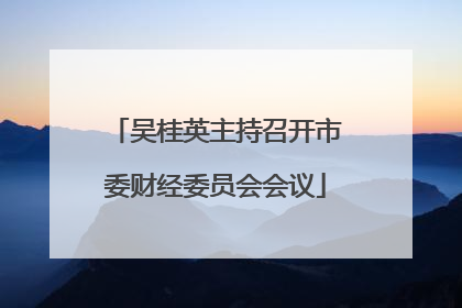 吴桂英主持召开市委财经委员会会议