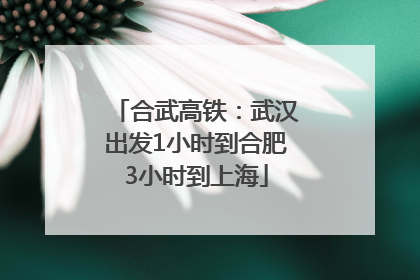 合武高铁：武汉出发1小时到合肥3小时到上海
