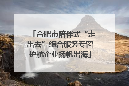 合肥市陪伴式“走出去”综合服务专窗护航企业扬帆出海