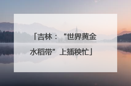 吉林：“世界黄金水稻带”上插秧忙