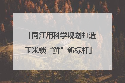 同江用科学规划打造玉米锁“鲜”新标杆