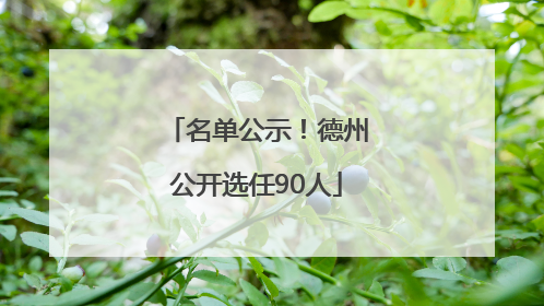 名单公示！德州公开选任90人