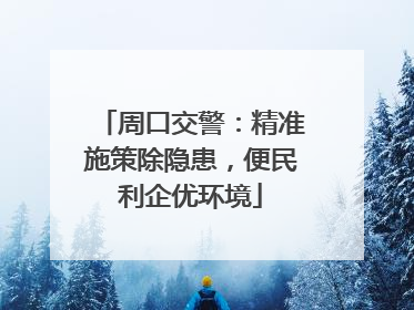 周口交警：精准施策除隐患，便民利企优环境
