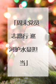 周末党员志愿行 巡河护水显担当