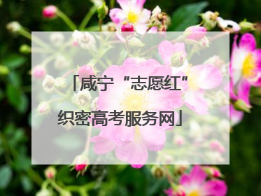 咸宁“志愿红”织密高考服务网