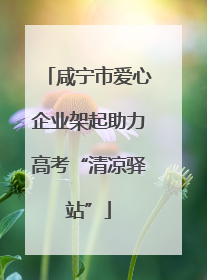 咸宁市爱心企业架起助力高考“清凉驿站”