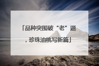 品种突围破“老”题，珍珠油桃写新篇