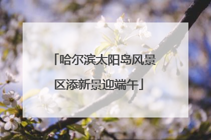哈尔滨太阳岛风景区添新景迎端午