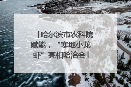哈尔滨市农科院赋能，“寒地小龙虾”亮相哈洽会