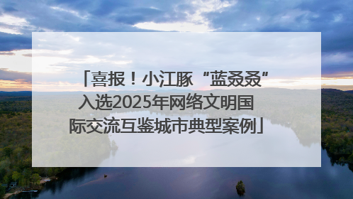 喜报！小江豚“蓝叒叒”入选2025年网络文明国际交流互鉴城市典型案例