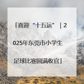 喜迎“十五运”｜2025年东莞市小学生足球比赛圆满收官