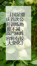 国足重庆首次公开训练热度不减，战巴林阵容将有较大变化