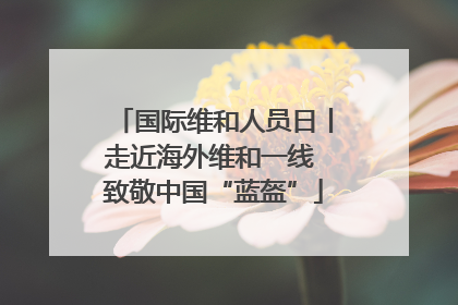 国际维和人员日丨走近海外维和一线 致敬中国“蓝盔”