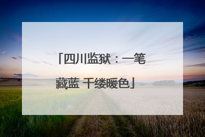 四川监狱：一笔藏蓝 千缕暖色
