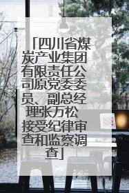 四川省煤炭产业集团有限责任公司原党委委员、副总经理张万松 接受纪律审查和监察调查