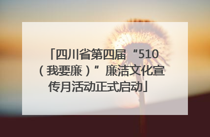 四川省第四届“510（我要廉）”廉洁文化宣传月活动正式启动
