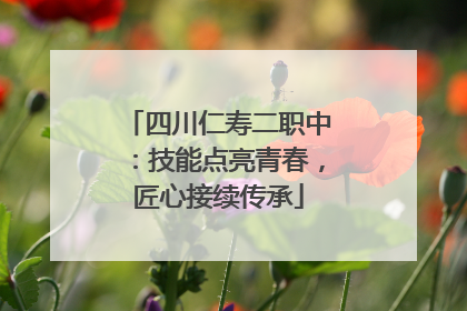 四川仁寿二职中：技能点亮青春，匠心接续传承