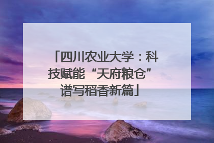 四川农业大学：科技赋能“天府粮仓”谱写稻香新篇
