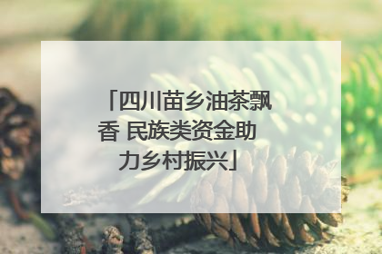 四川苗乡油茶飘香 民族类资金助力乡村振兴