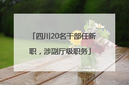 四川20名干部任新职，涉副厅级职务
