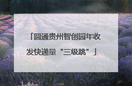 圆通贵州智创园年收发快递量“三级跳”