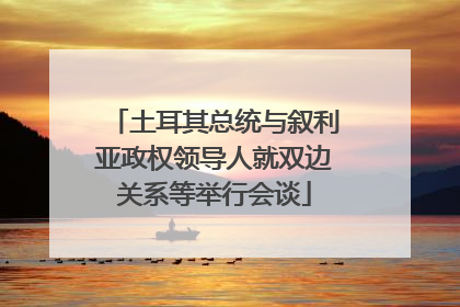 土耳其总统与叙利亚政权领导人就双边关系等举行会谈