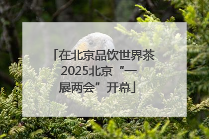 在北京品饮世界茶 2025北京“一展两会”开幕