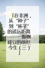 在非洲，从“种子”到“杯子”的遥远距离——一颗咖啡豆的前世今生（三）