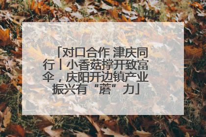对口合作 津庆同行丨小香菇撑开致富伞，庆阳开边镇产业振兴有“蘑”力