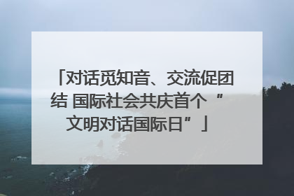 对话觅知音、交流促团结 国际社会共庆首个“文明对话国际日”