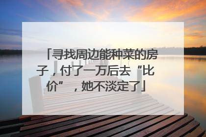 寻找周边能种菜的房子，付了一万后去“比价”，她不淡定了