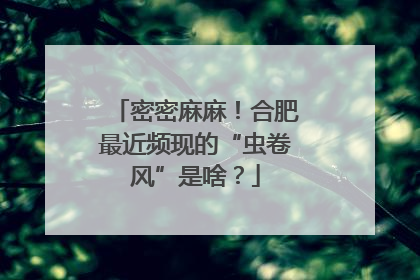 密密麻麻！合肥最近频现的“虫卷风”是啥？