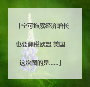 宁可拖累经济增长也要课税欧盟 美国这次图的是……