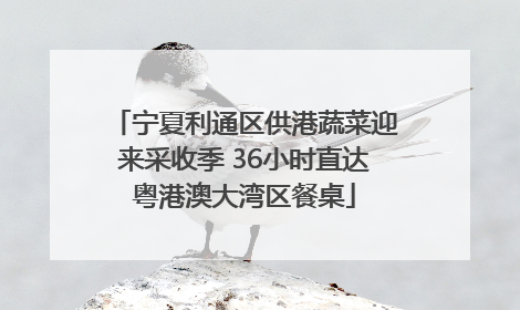 宁夏利通区供港蔬菜迎来采收季 36小时直达粤港澳大湾区餐桌