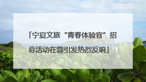 宁夏文旅“青春体验官”招募活动在蓉引发热烈反响