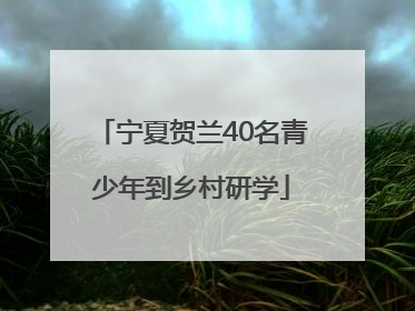 宁夏贺兰40名青少年到乡村研学