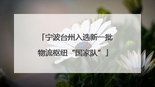 宁波台州入选新一批物流枢纽“国家队”