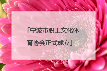 宁波市职工文化体育协会正式成立