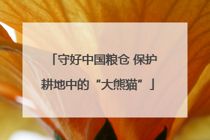 守好中国粮仓 保护耕地中的“大熊猫”