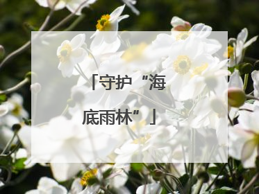 守护“海底雨林”